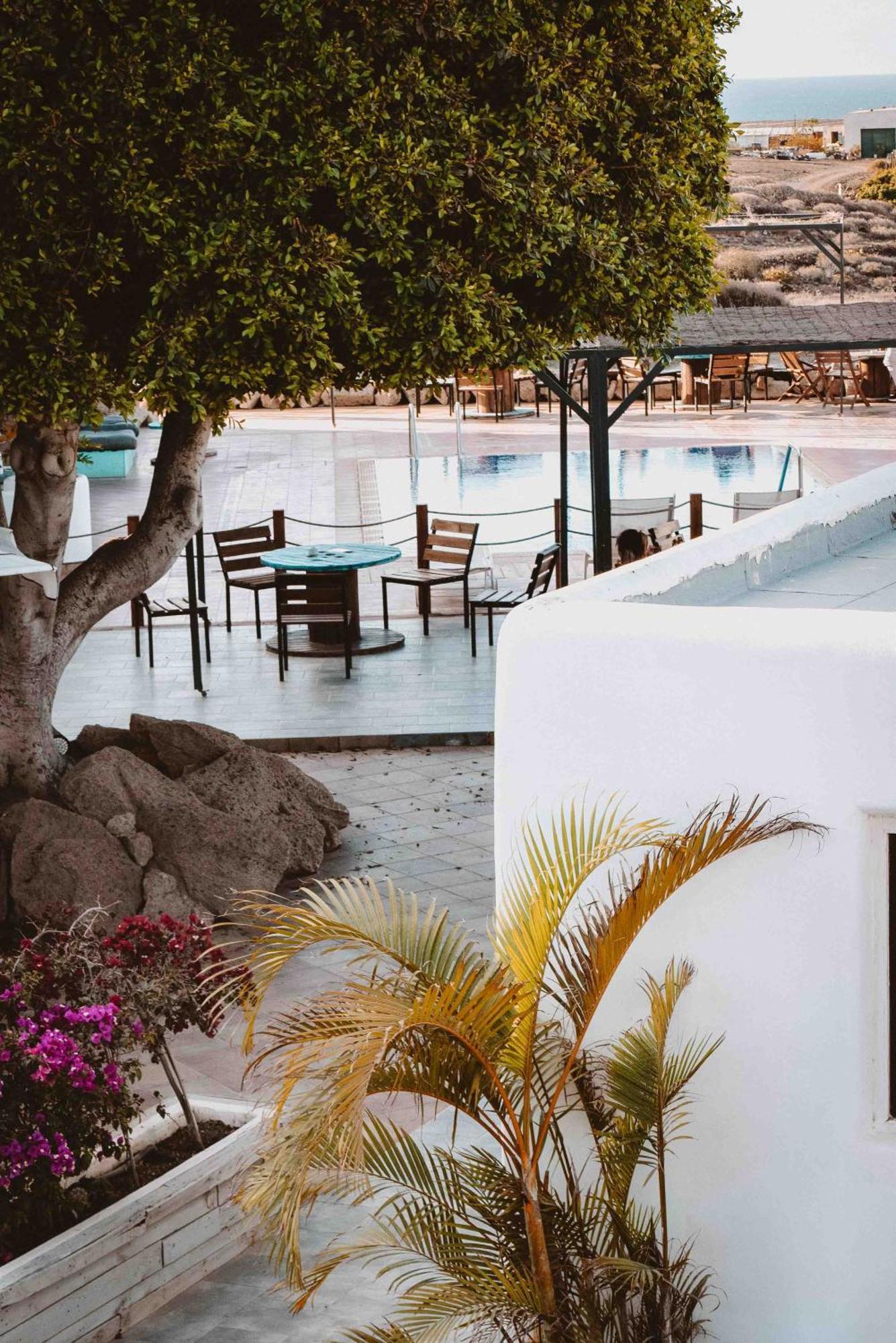 The Tree House Tenerife El Medano  Luaran gambar